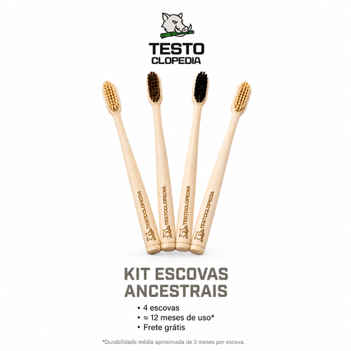 KIT ESCOVAS ANCESTRAIS (4 UNIDADES) (Frete Grátis)