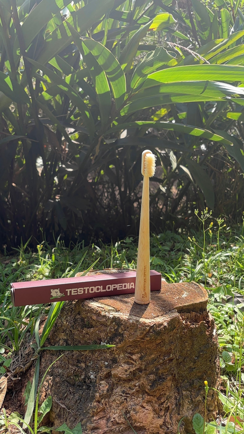 KIT ESCOVAS ANCESTRAIS (4 UNIDADES) (Frete Grátis)